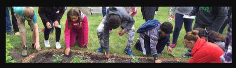 481238_1_468 Indigenous Garden Initiatives : Honouring Memories, Planting Dreams