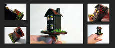 49802 Image 1