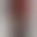 Girl-Next-Door Glamformations - Alexis Bledel Shakes Gilmour Girl for 'Post Grad' Image