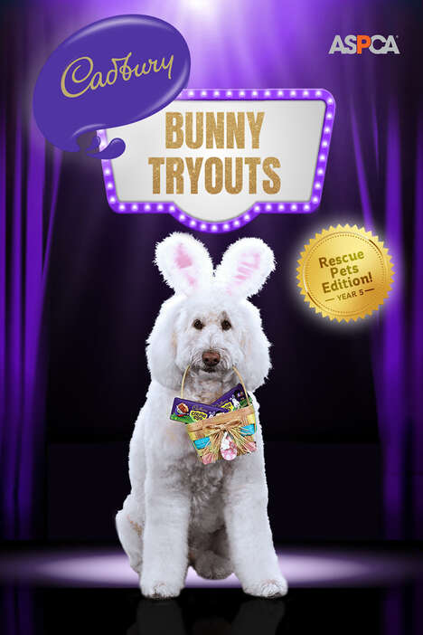 498810_1_468 Rescue Pet-Supporting Campaigns : cadbury bunny tryouts