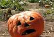 30 Pumpkinnovations