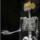 From Glass Pillows to Glass Skeletons & Real-Life Glass Slippers 1
