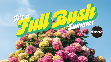 Flora-Inspired Body Autonomy Campaigns - Miracle-Gro x Gabby Windey  Present 'Full Bush Summer' (TrendHunter.com)