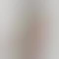 Stylist-Curated Fashion Edits – Danielle &amp; Alix Partner with ASTR the Label for Fall Collection (TrendHunter.com)