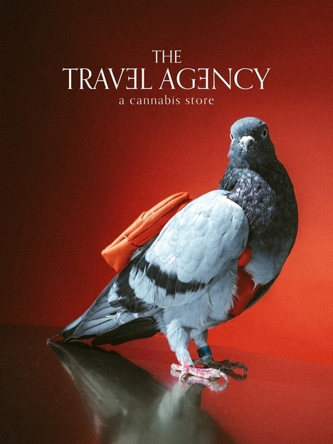 Carrier Pigeon Campaigns - The Travel Agency's Viral Project Pigeon Spiked Social Media Engagement (TrendHunter.com)
