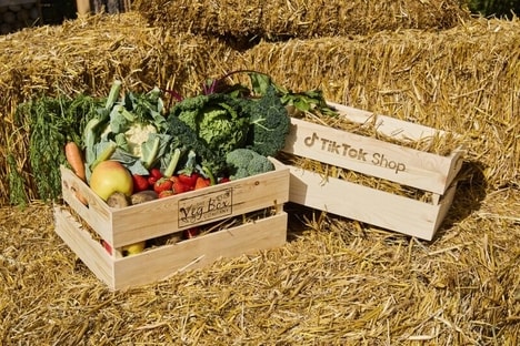 Social-First Local Shopping Schemes - Shop Local by Tiktok Shop Makes Homegrown Goods Accessible (TrendHunter.com)