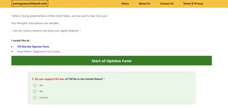Digital Opinion Platforms - sunnypeaceisland.com Collects Public Feedback on TikTok Policy Issues (TrendHunter.com)