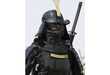 29 Samurai-Ninja Finds