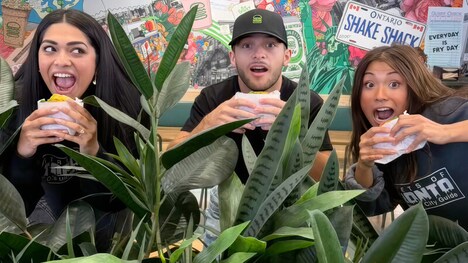 Social Media Follower-Celebrating Initiatives - Streets of Toronto Marks 600k Instagram Followers (TrendHunter.com)