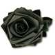 25 Rose Reinventions 6