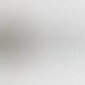 Search by Sight with Google Goggles
