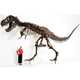 From Audible Fossil Finds to Fossilized Fake Eyelashes 1