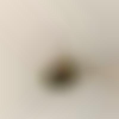 {SummaryTitle}