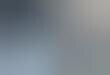 Playful Radiators