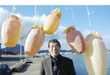 27 Giant Squid Innovations