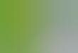 Green Biz Rating Tools