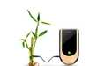 45 Badass Bamboo Finds