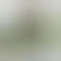 Charitable Indie Fashion - American Apparel Yellow Bird Project Brings Together Big Stars