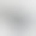 Inclusive iPads - German WePad Hopes to Ride the Tails of the iPad's Hype