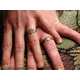 Fun Finger Finds 4
