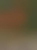 Sex In Their 80s Seniors Know How To Keep It Up