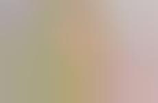 Bacterial Fabric