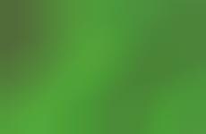 Salvia Consultancy Companies