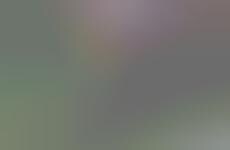 Computerized Game Calls