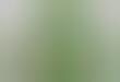 Green Alien Headgear