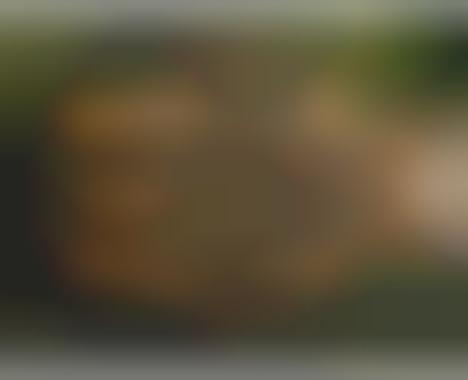 http://cdn.trendhunterstatic.com/phpthumbnails/86/86867/86867_1_468c.jpeg