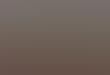 Air Pollution-Gauging Apps