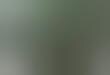 Simulated Casino Tables