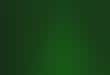 Night Vision Forest Tours