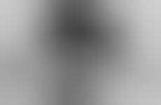Cowlick Coif Photography