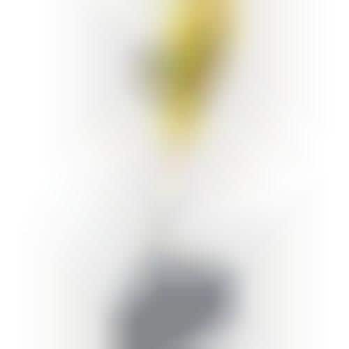 10 Prophetic PooperScoopers