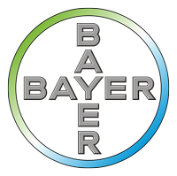 Future Festival Attendee Bayer