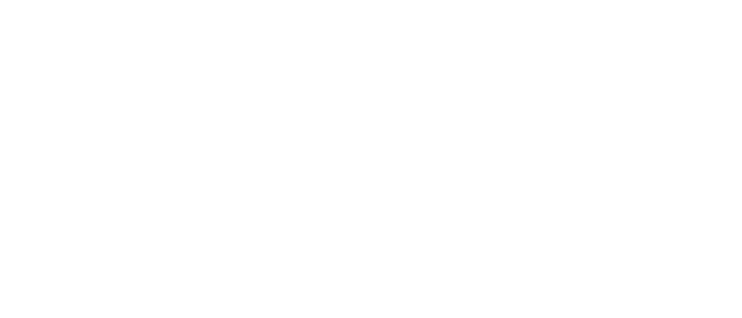 Selffee
