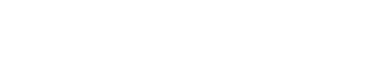 Survey Fast Logo