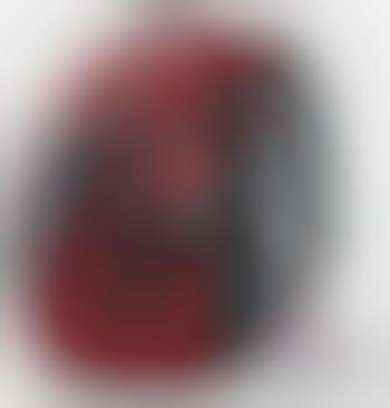 axio hardshell backpack