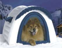 Intergalactic Doggie Homes