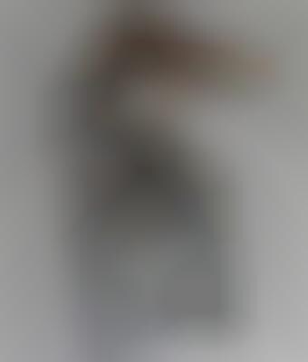 Canary Wireless Portable WI-Fi Digital Hotspotter