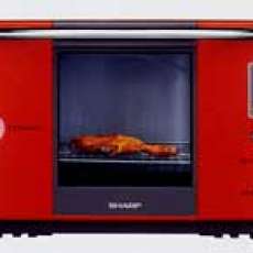 Steam Ovens-Reduce Fat and Salt Content