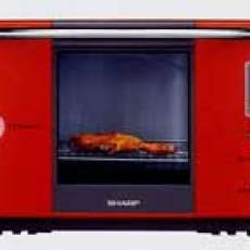 Steam Ovens-Reduce Fat and Salt Content