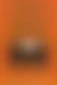 Best Rejected Advertising: Book & Website