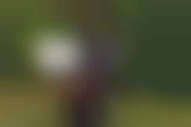 Robotic Exoskeleton to Aid the Elderly or Workers