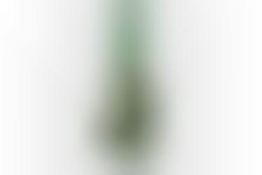 Topsu Turvy: Hanging Garden from Felknor Ventures