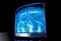 AntWorks: The Real Alien Ant Farm and Your New Pet
