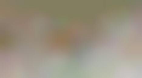 Million Dollar Homepage: Almost Sold Out