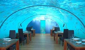 Hilton Maldives Resort: World's First Undersea Restaurant