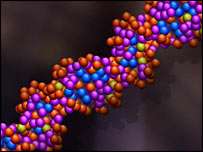 DNA Could Predict Your Surname